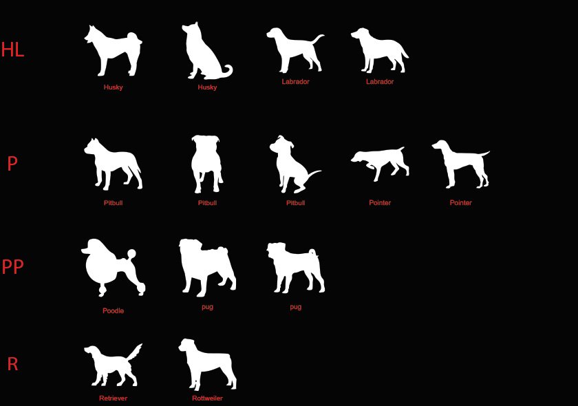 Husky, Labrador, Pit bull, Pointer,Poodle, Pug, Retriever, Rottweiler