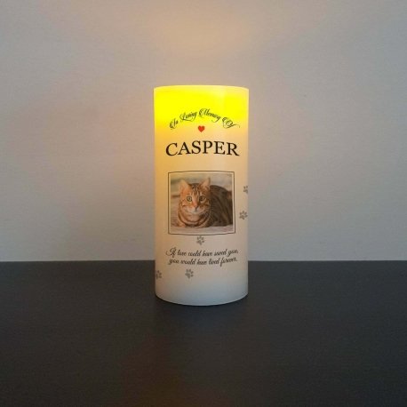 Pet Photo RIP flameless flickering LED Wax Candle dog cat horse Memorial gift