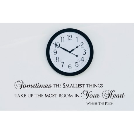 SOMETIMES THE SMALLEST THINGS WALL DECAL VINYL LETTERING STICKER