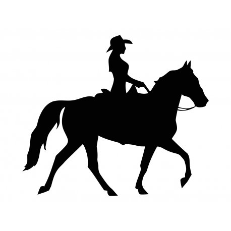 Cowgirl On horse Vinyl Decal for Car, Window bumper Tattoo Sticker