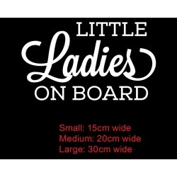 Little Ladies Baby on Board Car Sticker Decal Sign