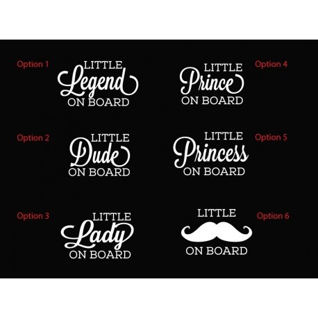 Little Legend Dude Lady Prince Princess Man Baby on Board Car Sticker Decal