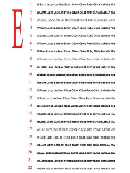 Custom Text Decal Personalised Windscreen Lettering Name Car Van Vinyl Sticker — close-up detail