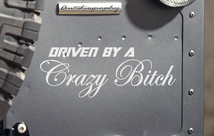 Custom Driven By A Mad Crazy Bitch Decal Funny Ute 4x4 Sticker — product photo