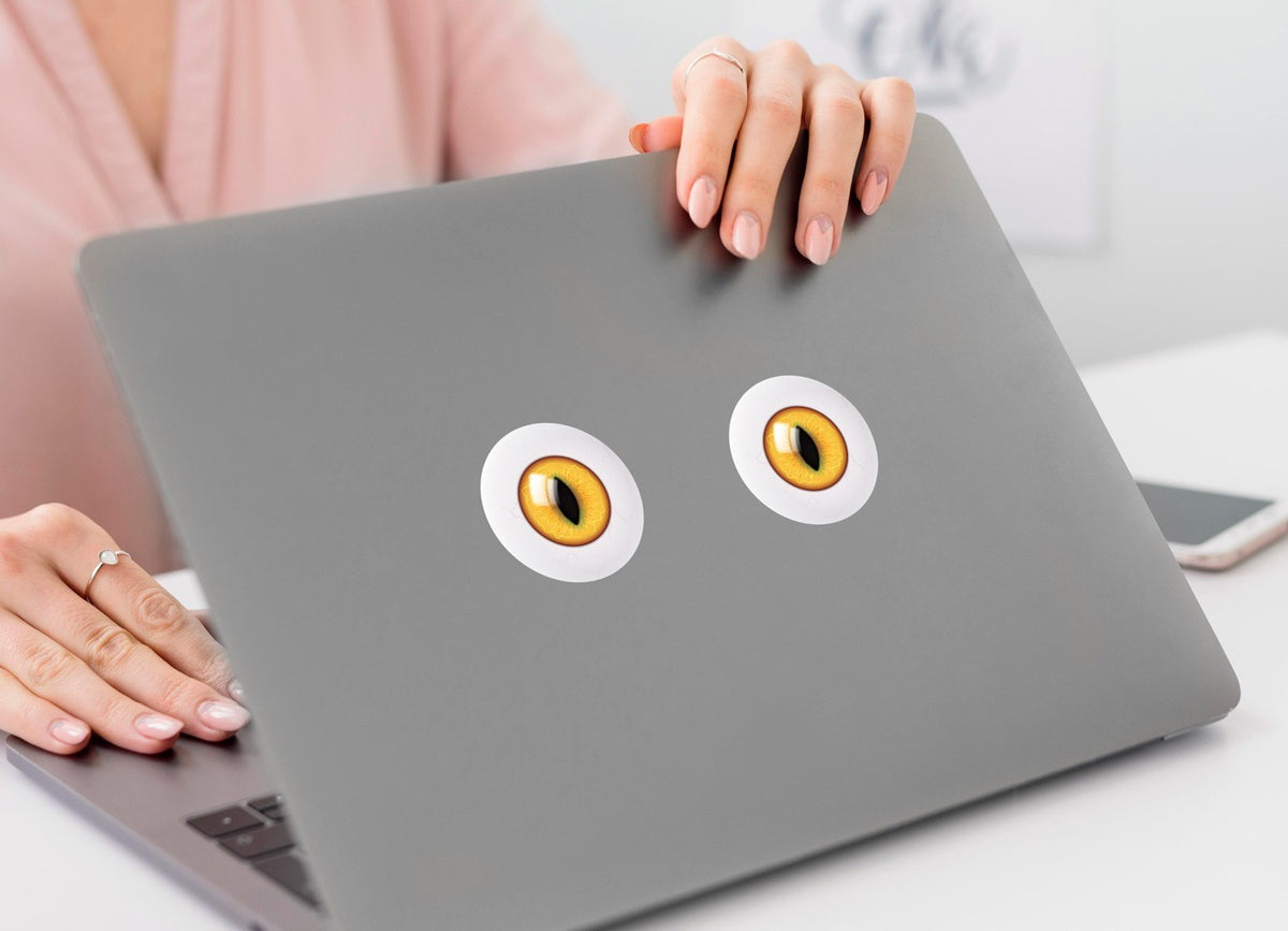 Eyeball Eye Stickers Pair Magpie Swooping Deterrent Helmet Car Decal 2-30cm — close-up detail