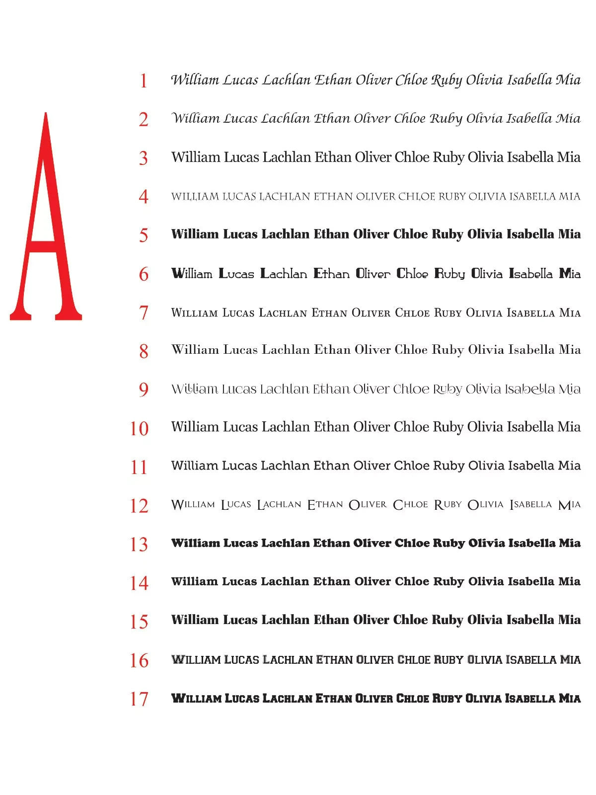 Personalised Vinyl Decals - Custom Name & Text Stickers for Cars, Boats ,Shop — shown applied
