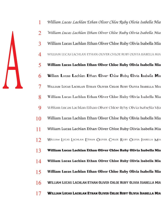 Personalised Vinyl Decals - Custom Name & Text Stickers for Cars, Boats ,Shop — shown applied