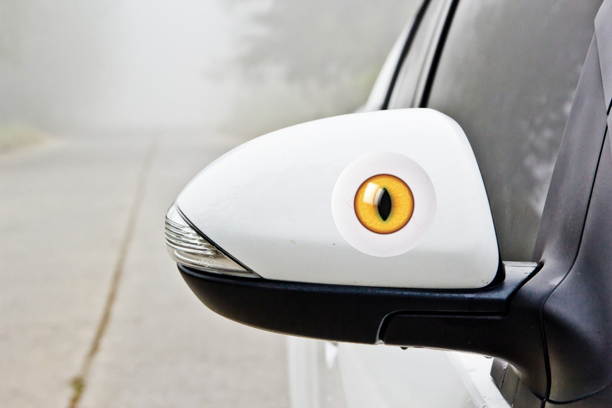 Eyeball Eye Stickers Pair Magpie Swooping Deterrent Helmet Car Decal 2-30cm — in use
