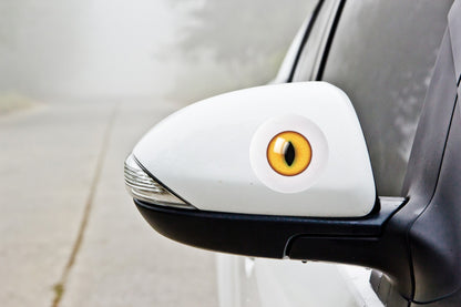 Eyeball Eye Stickers Pair Magpie Swooping Deterrent Helmet Car Decal 2-30cm — in use