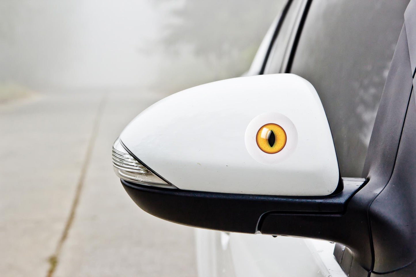 Anti-Swooping Bird Deterrent Stickers: Realistic Cat Eye Decals - Weatherproof Vinyl – view 8