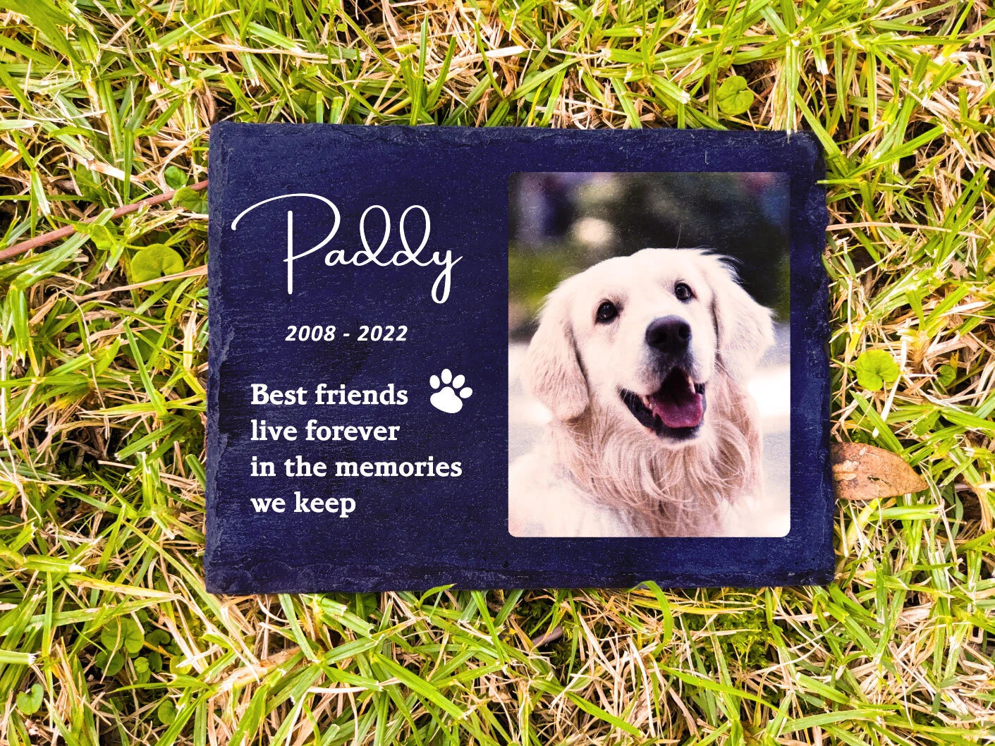 Pet memorial plaque close-up