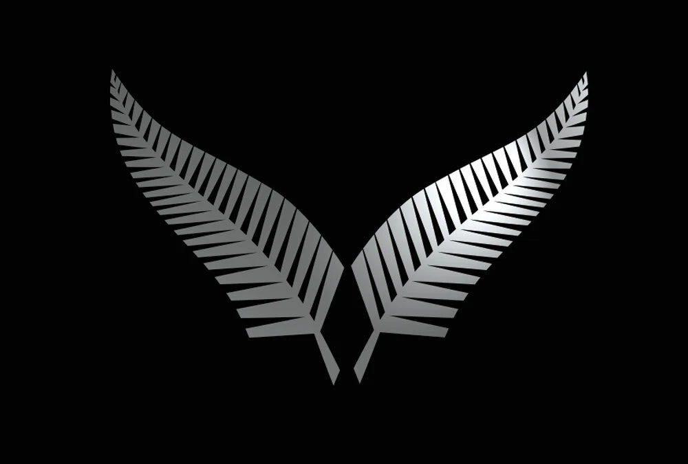 Silver Fern decal size reference