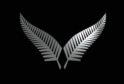 Silver Fern decal size reference
